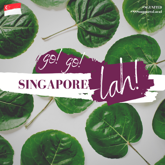 Let’s GO GO! It’s Singapore Day Lah!