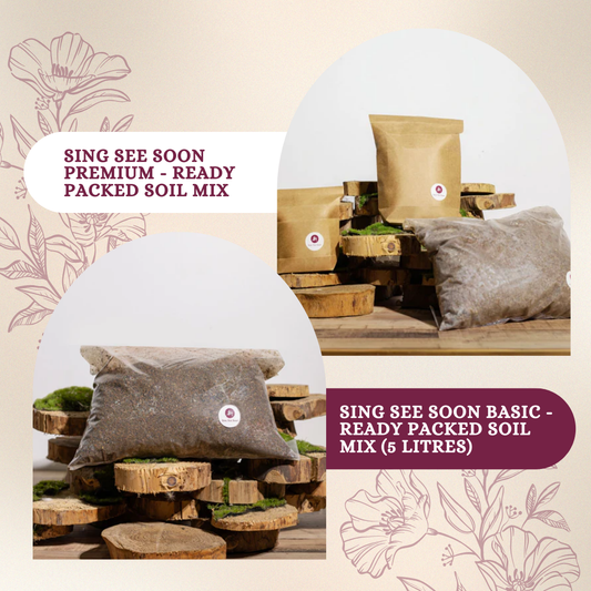Hassle-free, Ready-Packed Soil Mix is now available!
