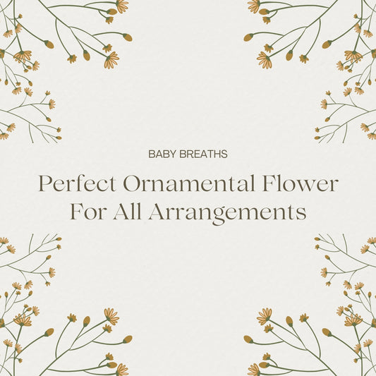 baby breath blog