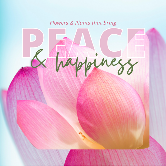 Flowers & Plants That Bring Peace & Happiness