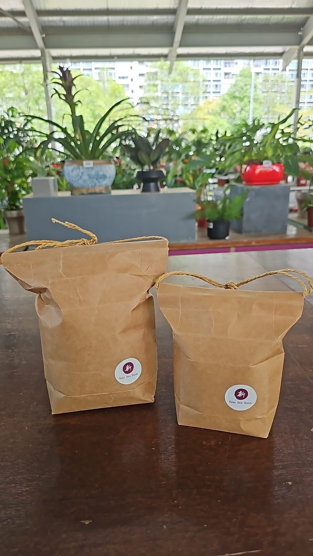 Sing See Soon Premium - Ready Packed Soil Mix