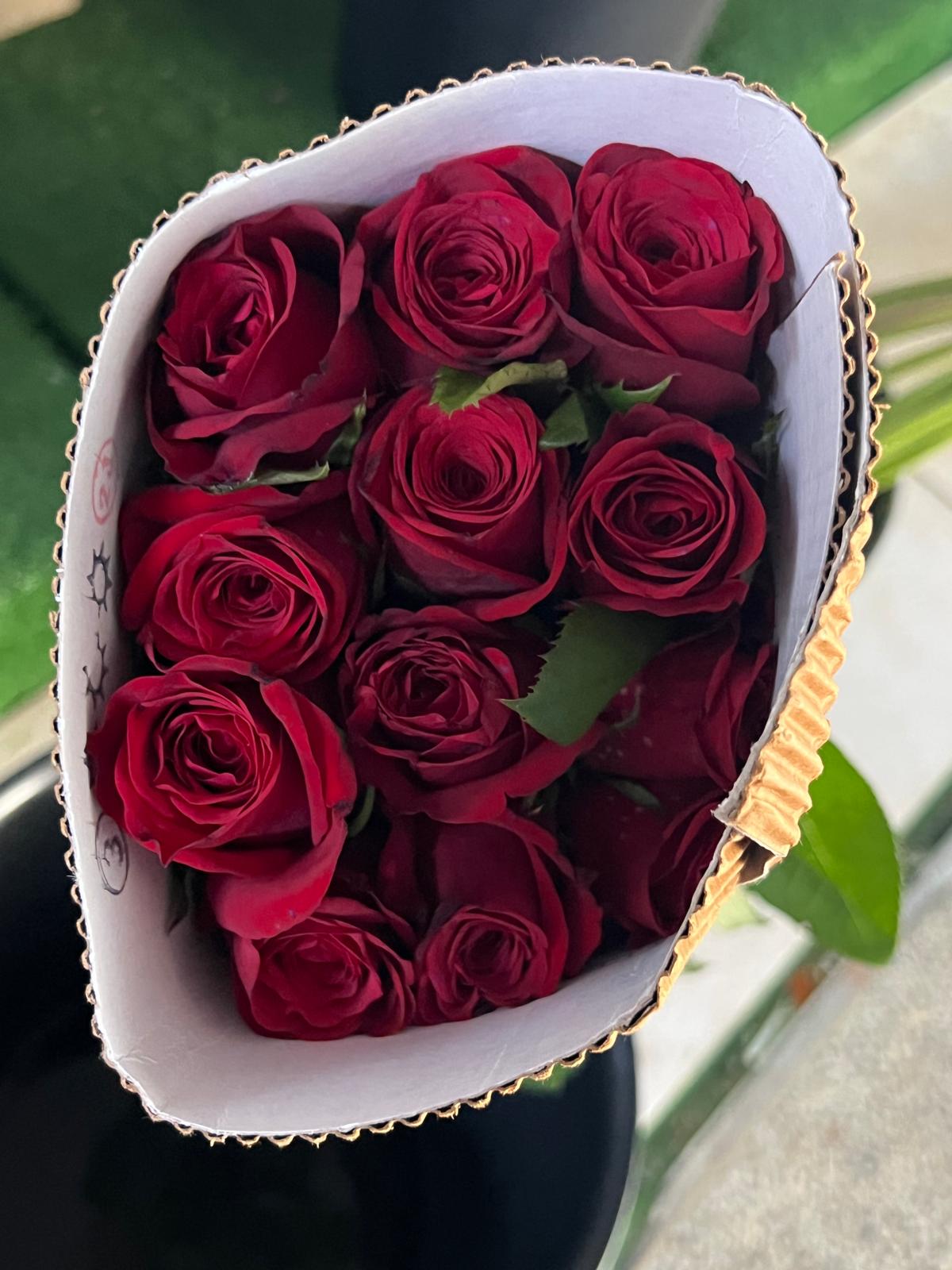 India Rose (Bundle) - $40
