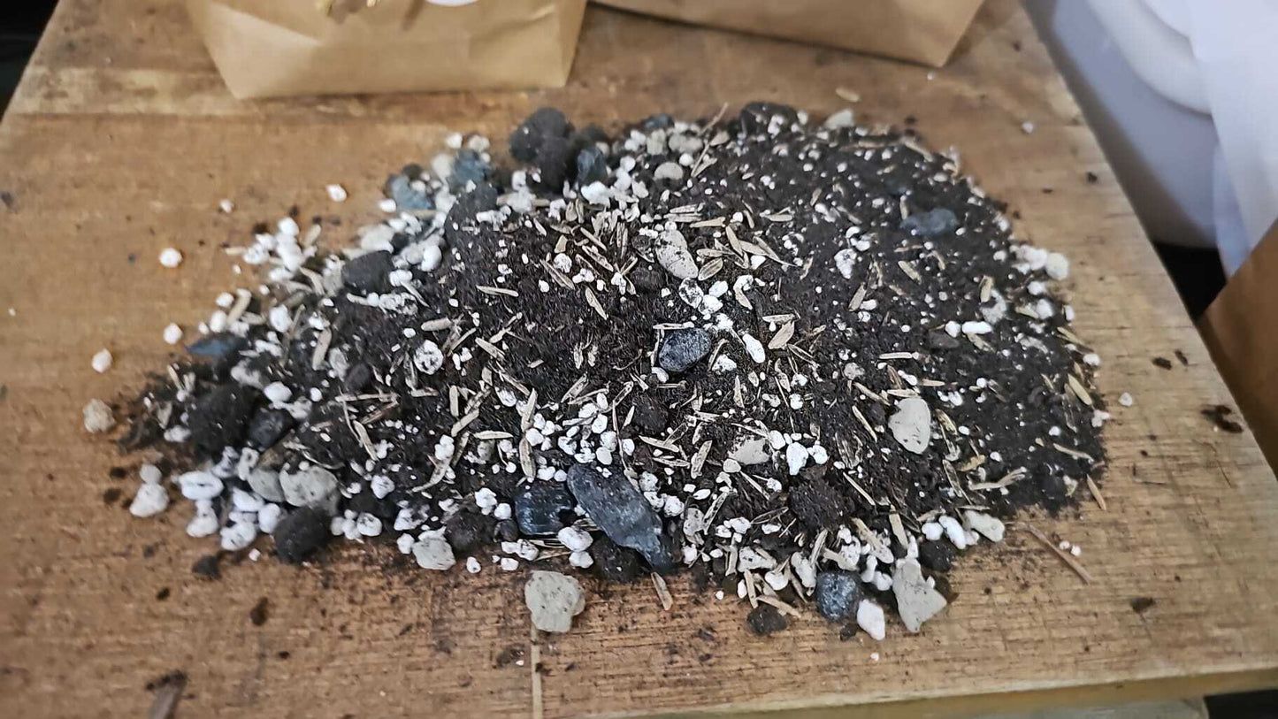 Sing See Soon Premium - Ready Packed Soil Mix