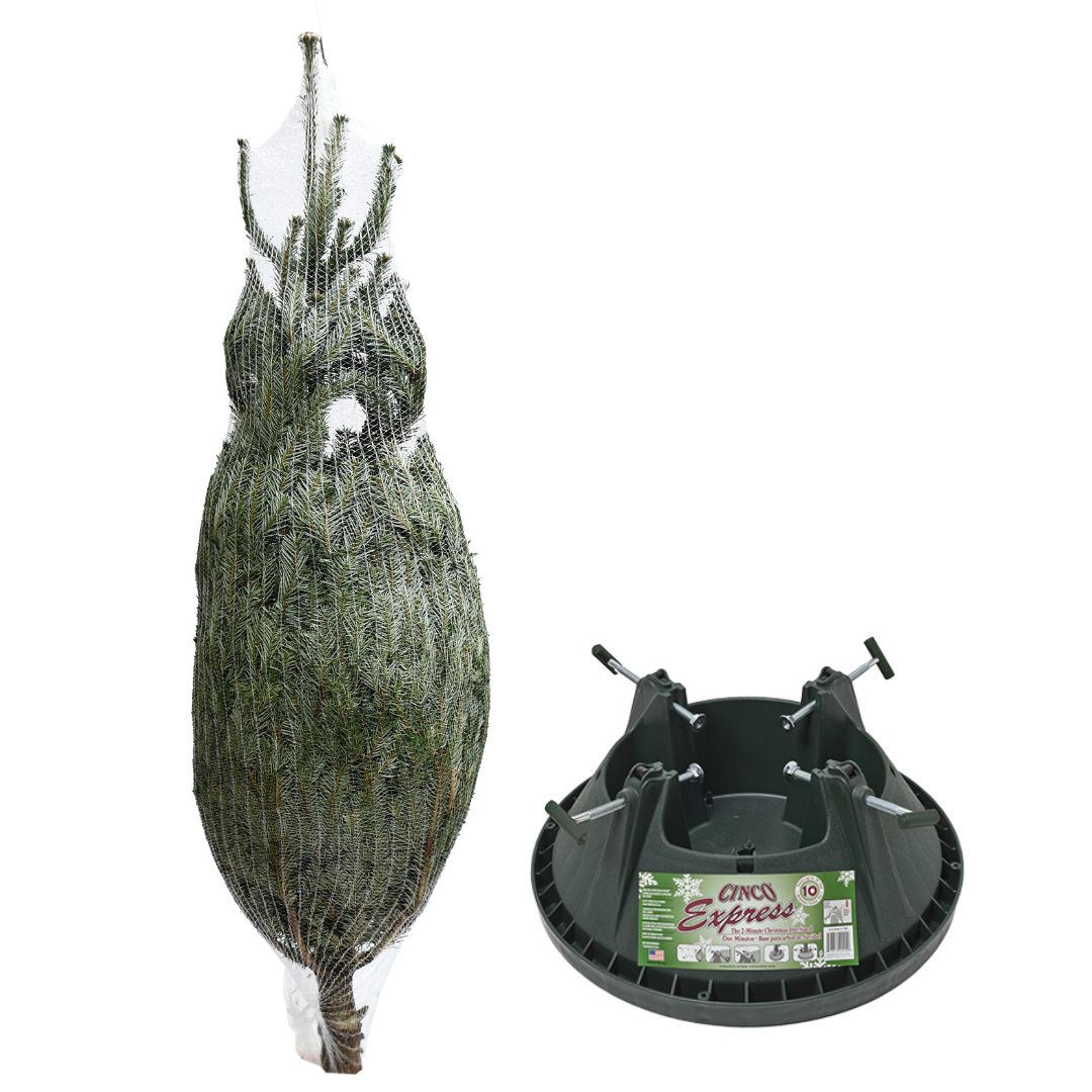 Medium Christmas Tree (6-7FT)