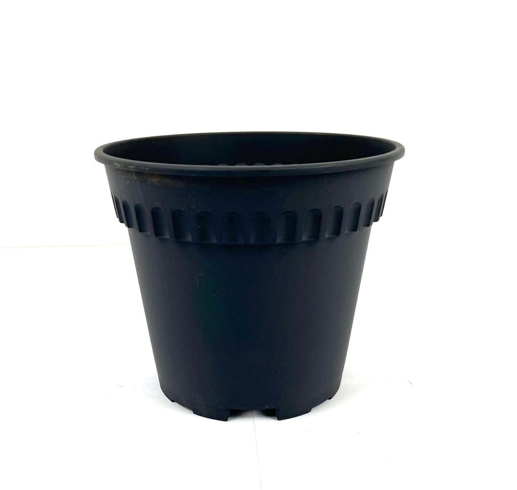 Baba RD-150 $1.6