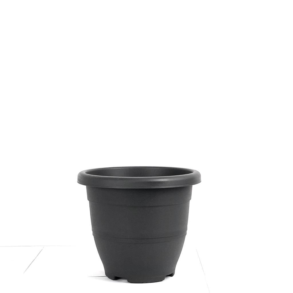 Baba EG-310 Pot $7.50