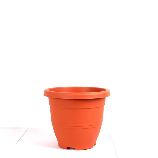 Baba EG-310 Pot $7.50