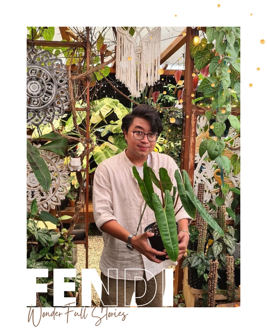 WoW Presents: Fendi's WonderFULL Story