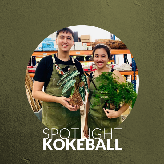 #SSSsupportsLocal Spotlight: Kokeball.Sg