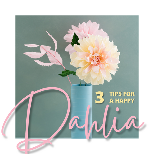 3 TIPS TO KEEP YOUR FRESH CUT DAHLIAS HAPPY