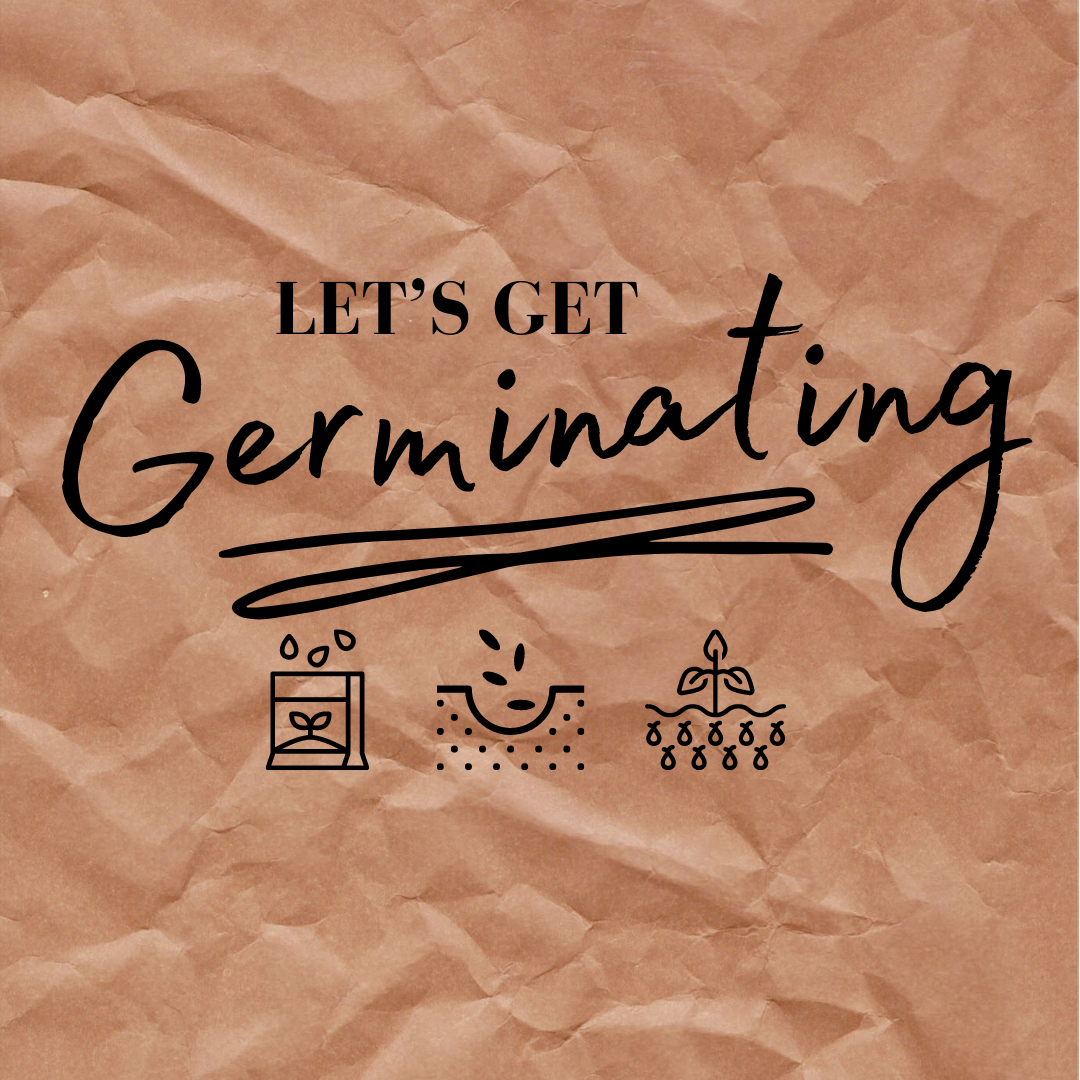 Let's Get Germinating!