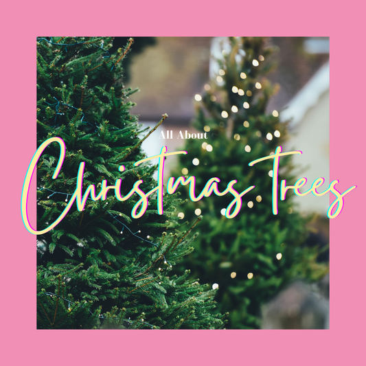 Let's Talk About Fresh Christmas Trees!
