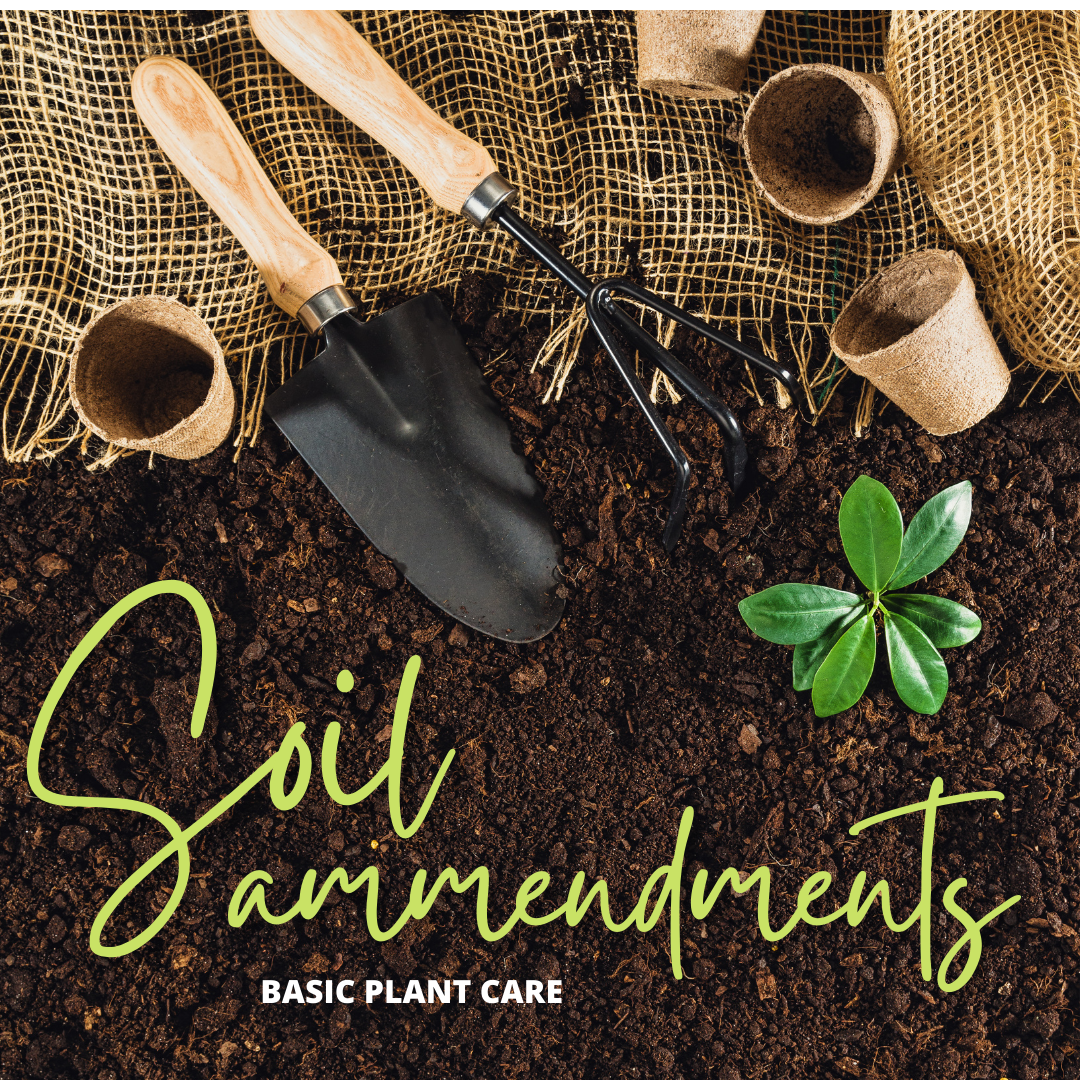 Basic Plant Care: Soil Amendments