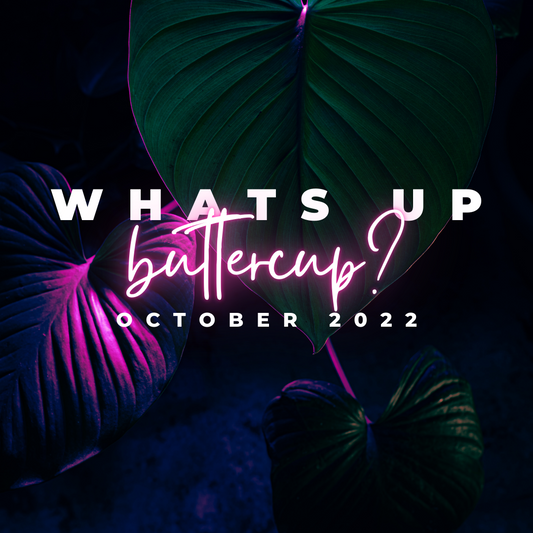 October Happenings! Catch up on what we are up to!