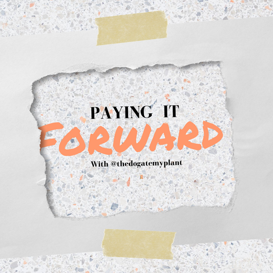 Paying It Forward With @thedogatemyplant