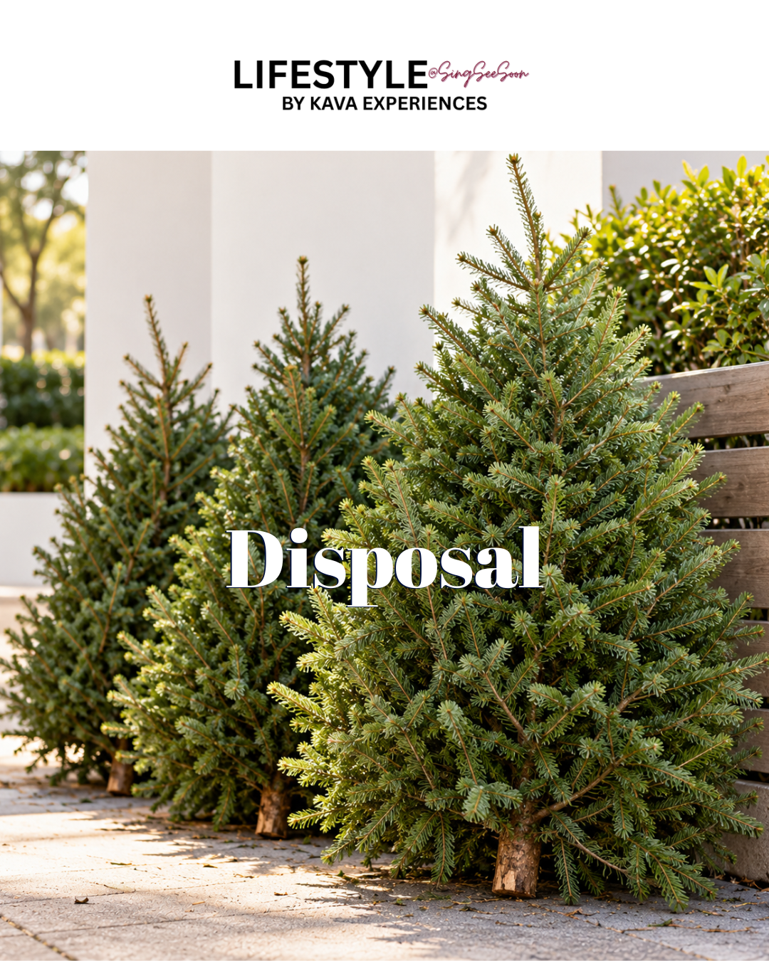 Christmas Tree Disposal Service