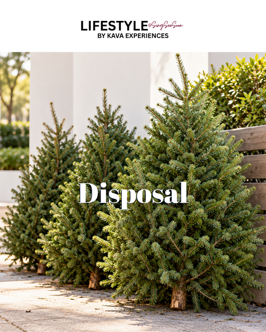 Christmas Tree Disposal Service