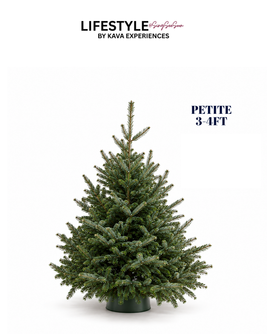 Petite Christmas Tree  (3-4FT)