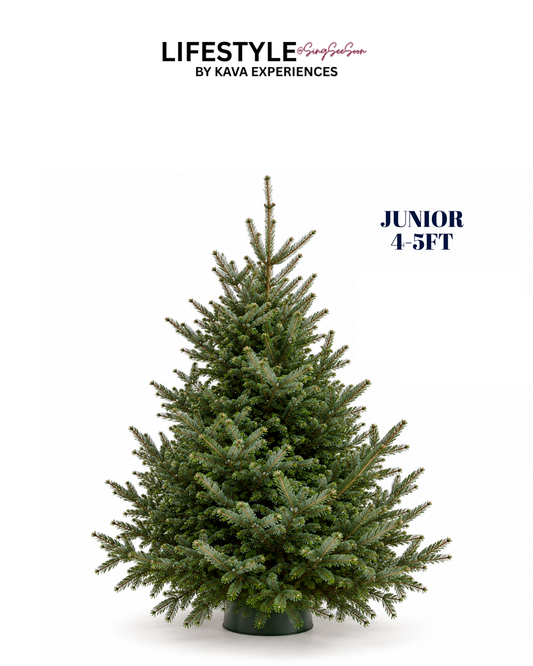 Junior Christmas Tree (4-5FT)