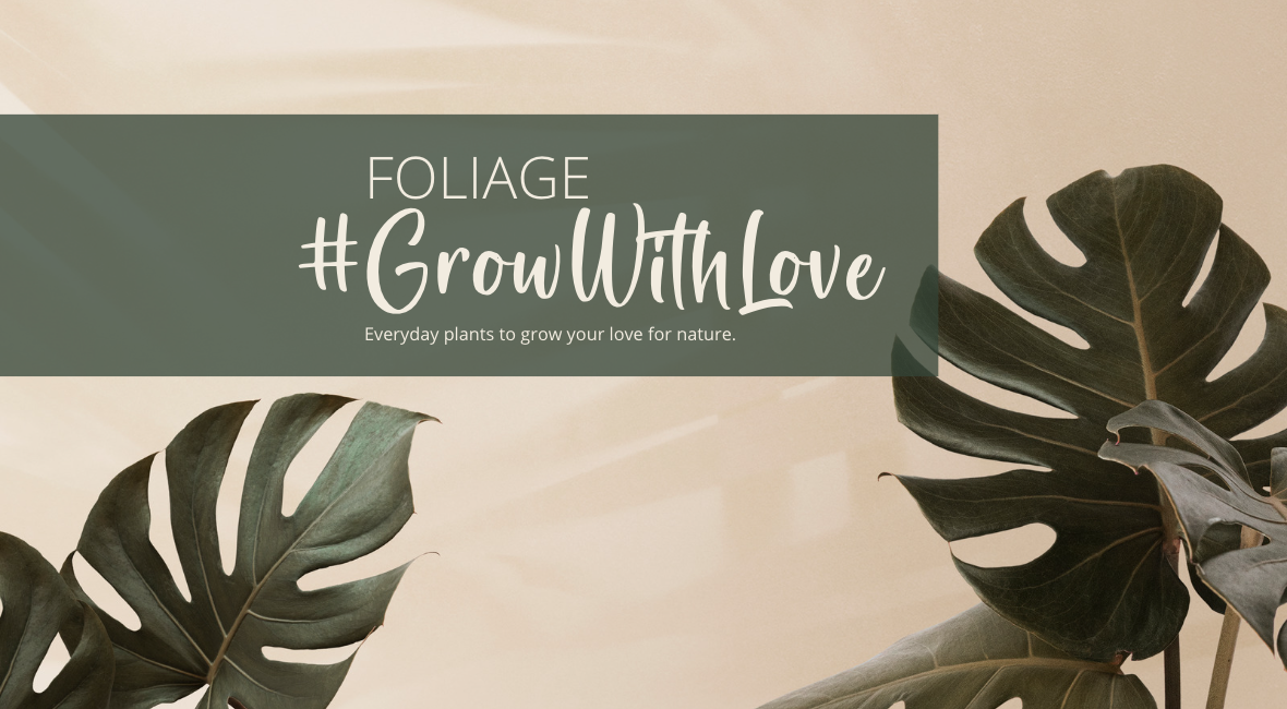 foliage #growwithlove