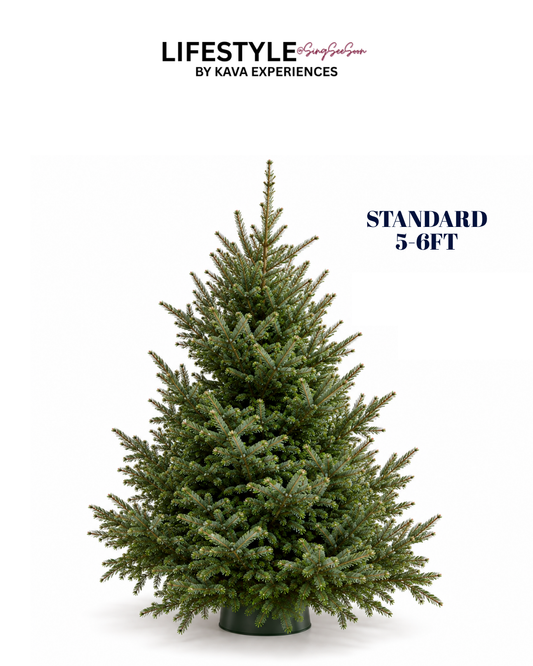 Standard Christmas Tree (5-6FT)
