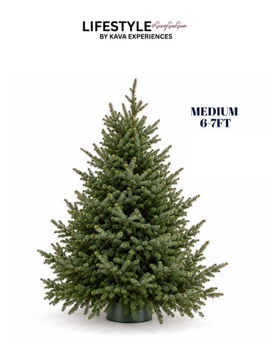 Medium Christmas Tree (6-7FT)