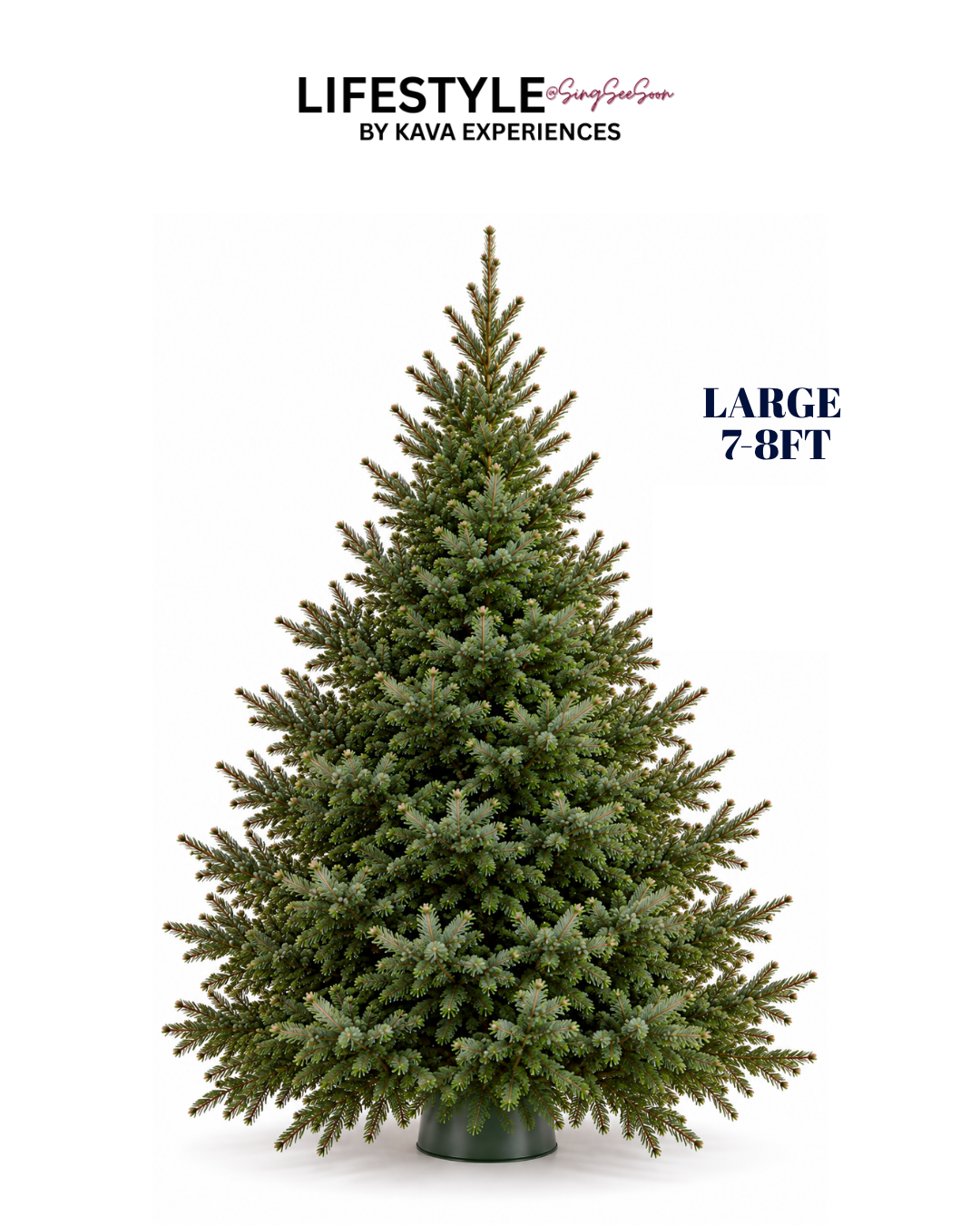 Large Christmas Tree (7-8FT)