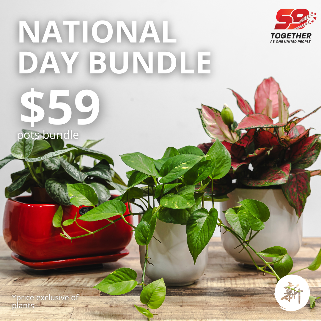 $59 Pots Bundle