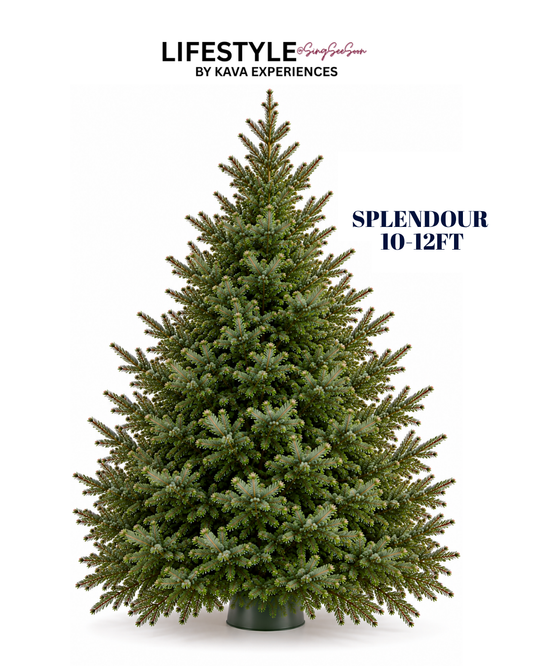 Splendor Christmas Tree (10-12FT)