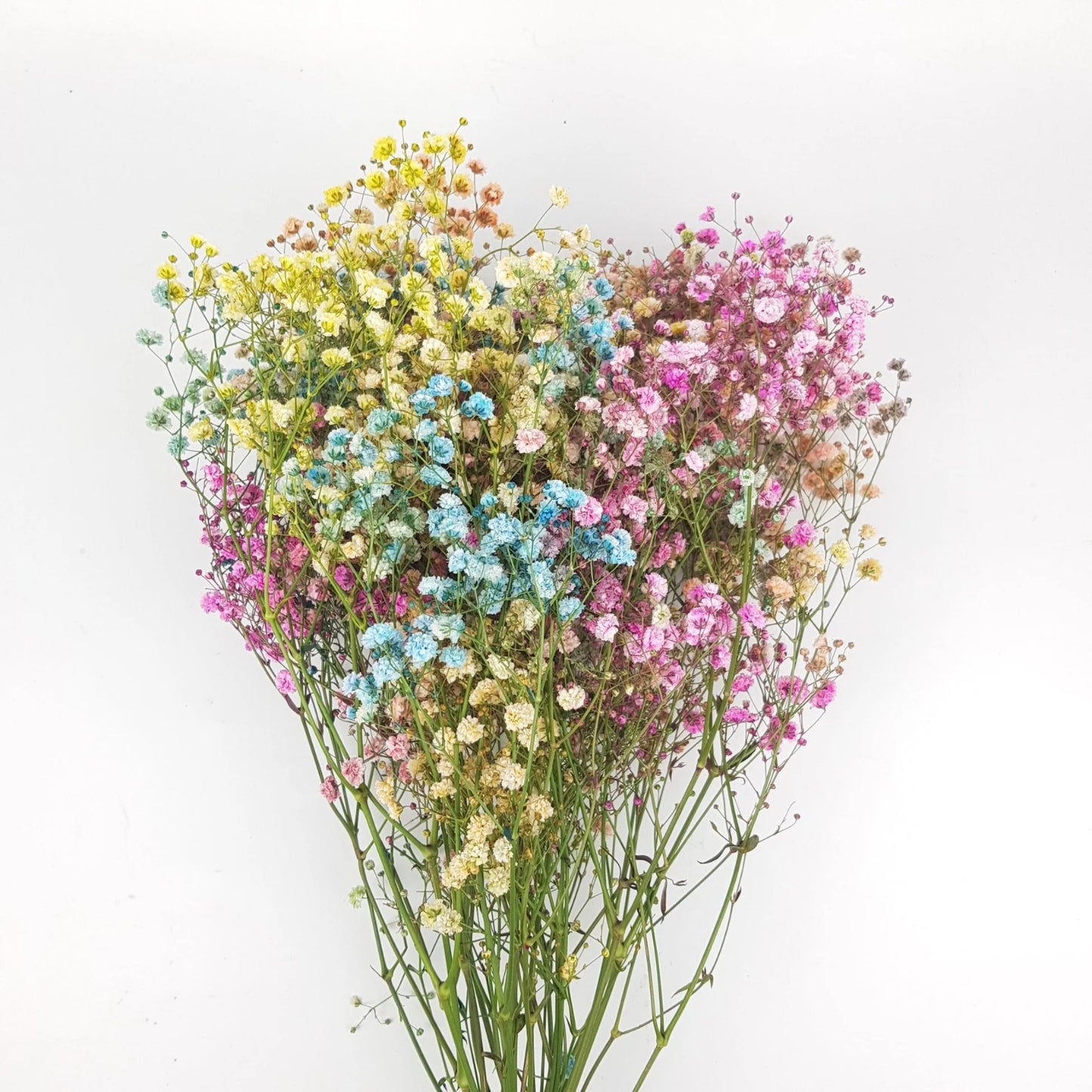 CNY Coloured Baby's Breath $30