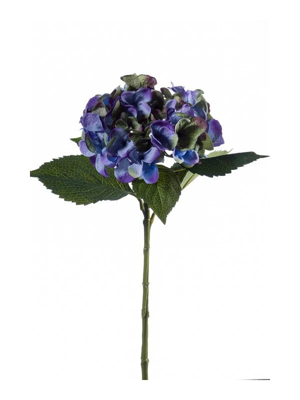 CNY24 Hydrangea $15 (per stalk)