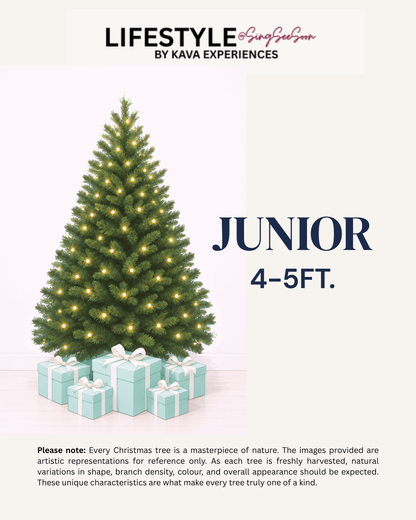 Junior Christmas Tree (4-5FT)