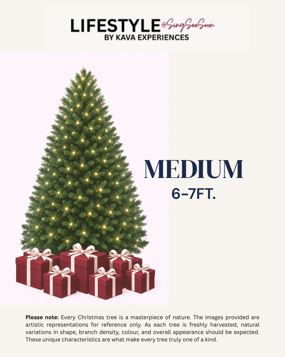 Medium Christmas Tree (6-7FT)