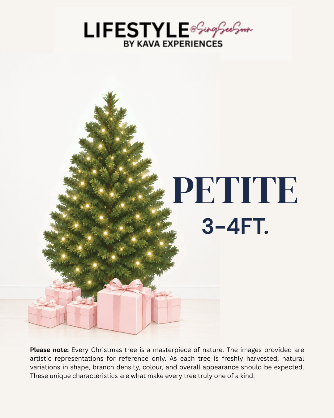 Petite Christmas Tree  (3-4FT)