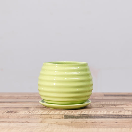 Textured Lime Green Ceramic Planter with Saucer