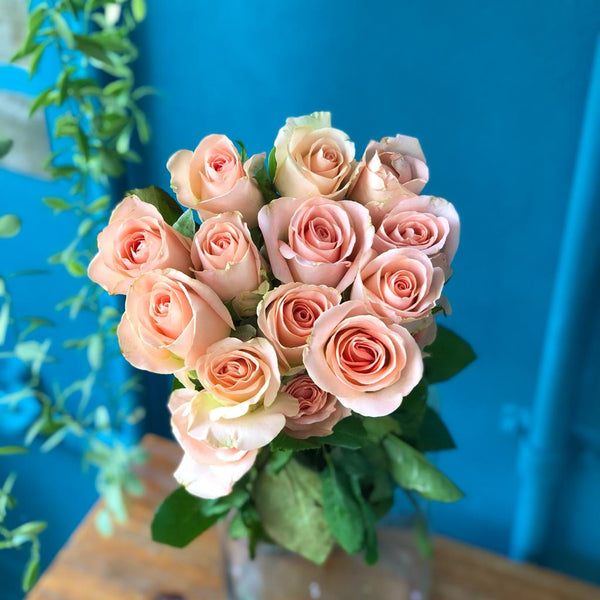 Hermosa Roses (10 stalk) $16