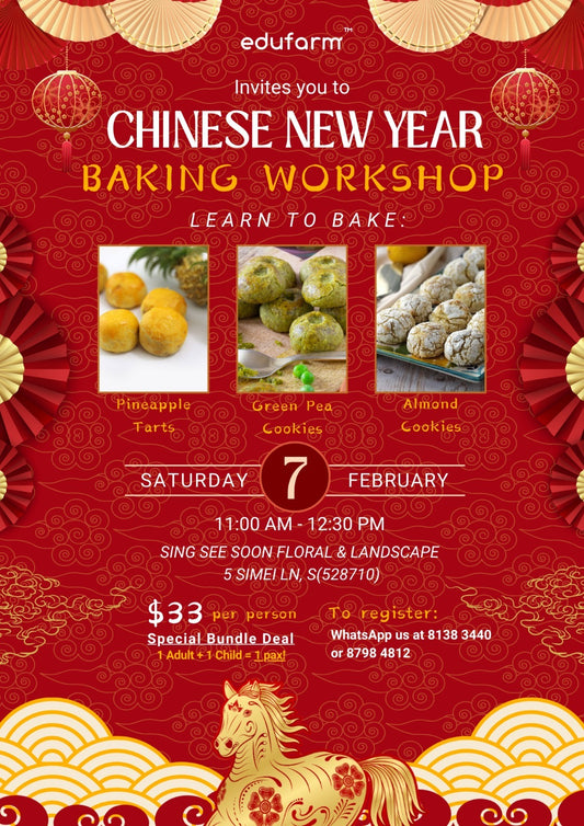 CNY Craft Workshop | Baking Workshop | $33/PAX (Pay Onsite)