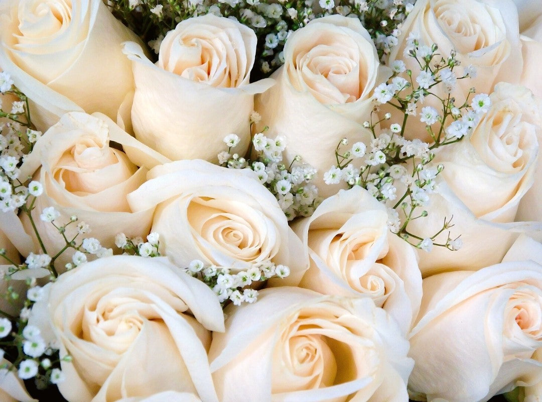 bouquet, rose, rose, baby's breath, love, bloom with love, gift with love 