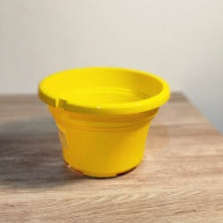 OCTO 220 Pot (yellow) $3.7