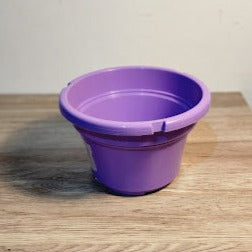 OCTO 220 Pot (purple) $3.70