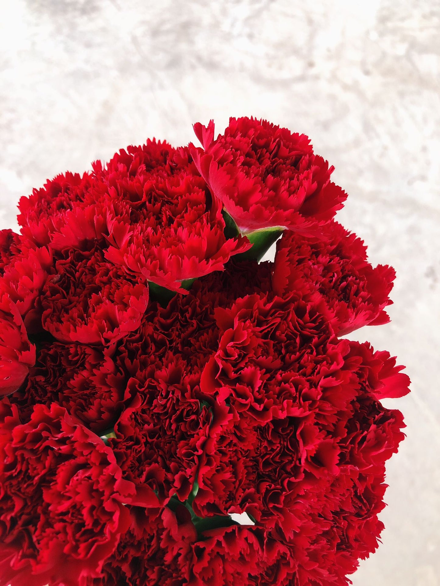 Red Carnations $25